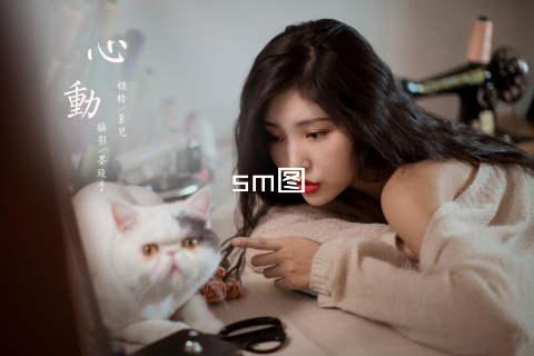 sm图